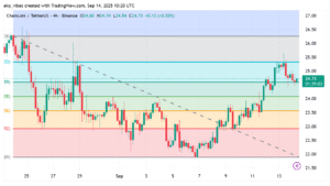 chainlink market chart